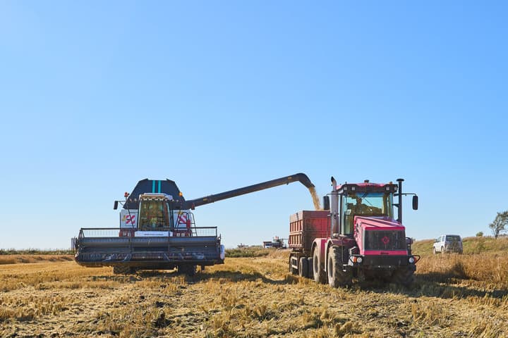 รัสเซียคาด 'ผลผลิตข้าวสาลี' เพิ่มขึ้น 10.6% ในปี 2025