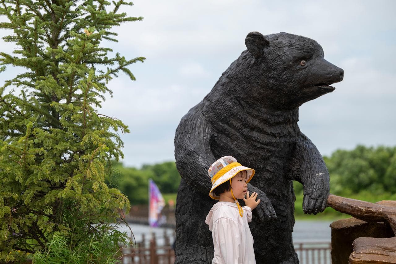 ญี่ปุ่นเผยยอด 'จับหมี' สูงเป็นประวัติการณ์