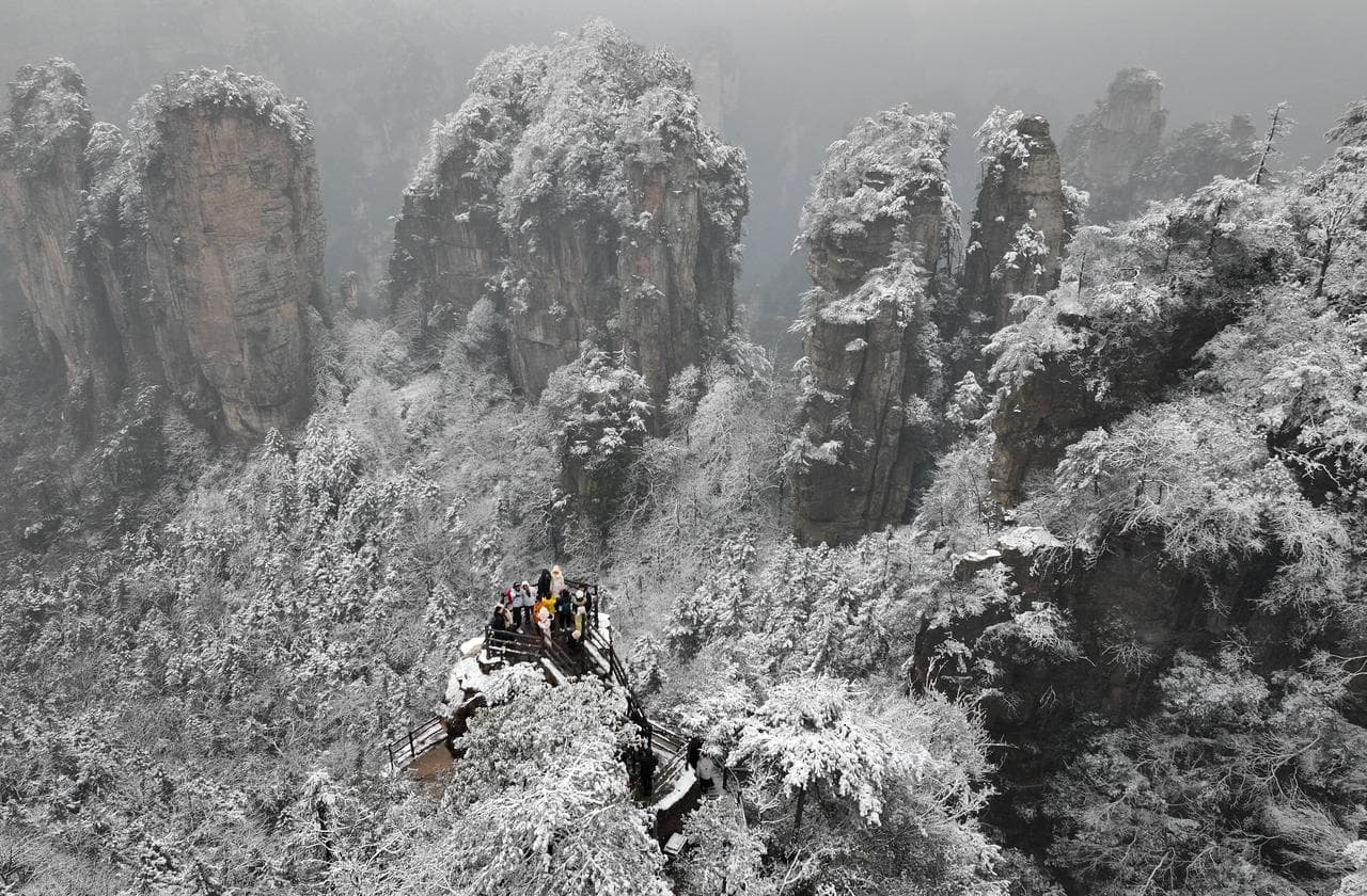 หิมะมาเยือนจางเจียเจี้ย ลิงจ๋อซุกแขนตัวกลม