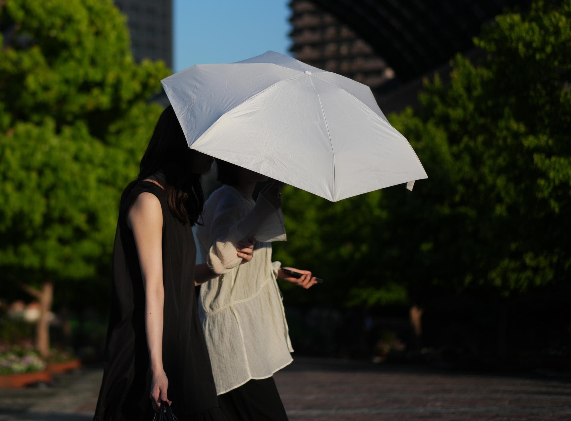 WMO ยืนยันปี 2025 ติดอันดับหนึ่งในปี 'อากาศร้อน' มากเป็นประวัติการณ์