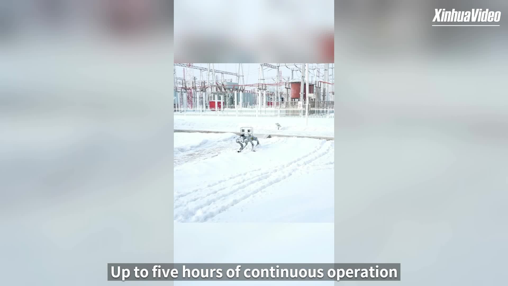 ไม่หวั่นลมหนาว 'หุ่นยนต์สุนัข' ลุยงานตรวจสถานีไฟฟ้าในซินเจียง