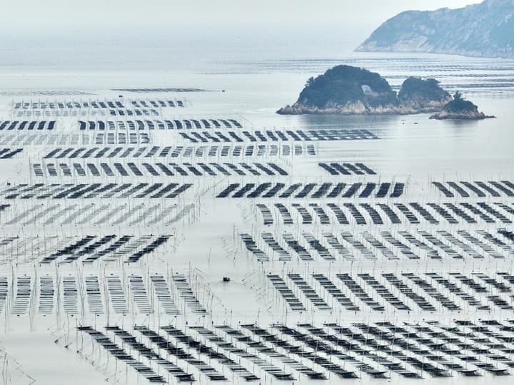 หนิงเต๋อพัฒนา 'อุตฯ เพาะเลี้ยงสัตว์น้ำในทะเล' หนุนการฟื้นฟูชนบท