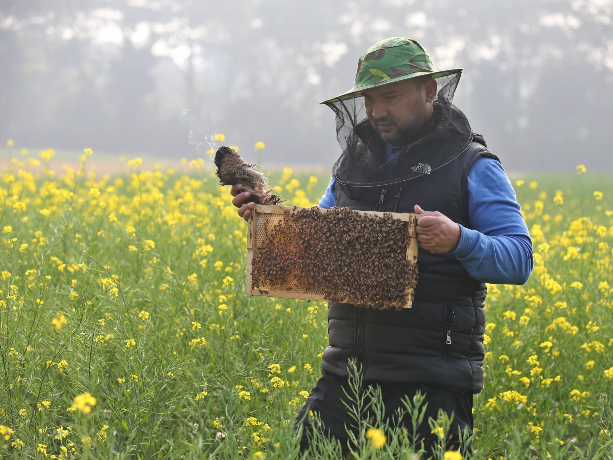 Asia Album : คนเลี้ยงผึ้งออกลุยงาน 'เก็บน้ำผึ้ง' หอมหวานในบังกลาเทศ