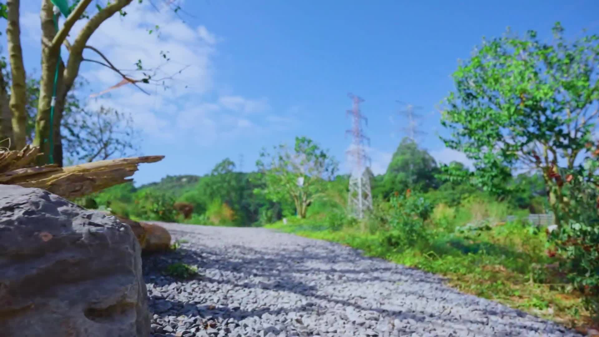 ปลอดภัยหายห่วง สะพานลูกผสม 'มนุษย์-สัตว์ป่า' เดินข้ามในเซินเจิ้น