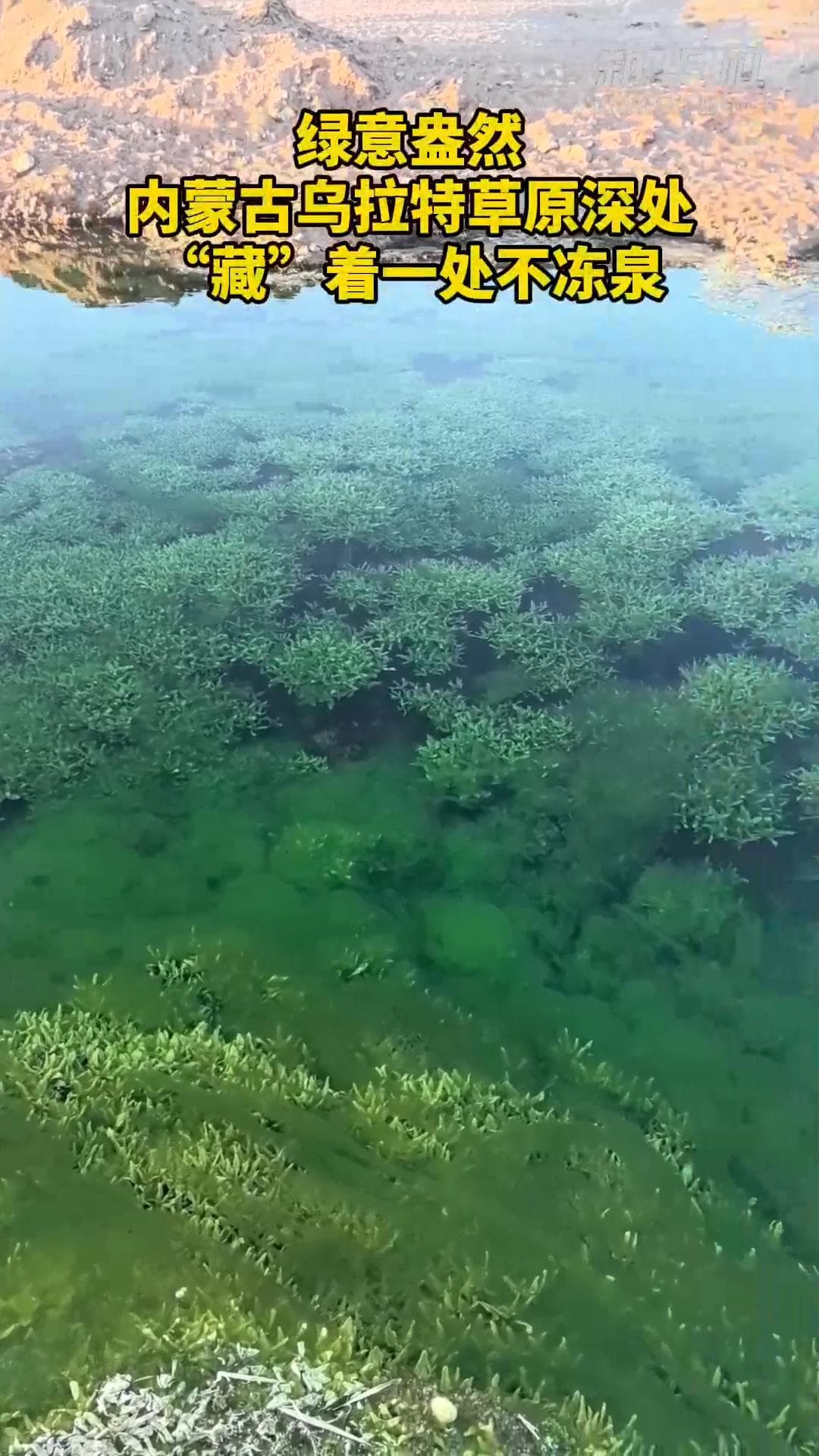 บ่อน้ำพุไม่เยือกแข็ง ใสเห็นไม้เขียว แม้เจอหนาว -18°C ในมองโกเลียใน