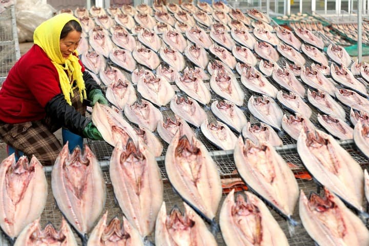 ชาวประมงตากปลาในชิงเต่า เตรียมส่งขายเทศกาลตรุษจีน