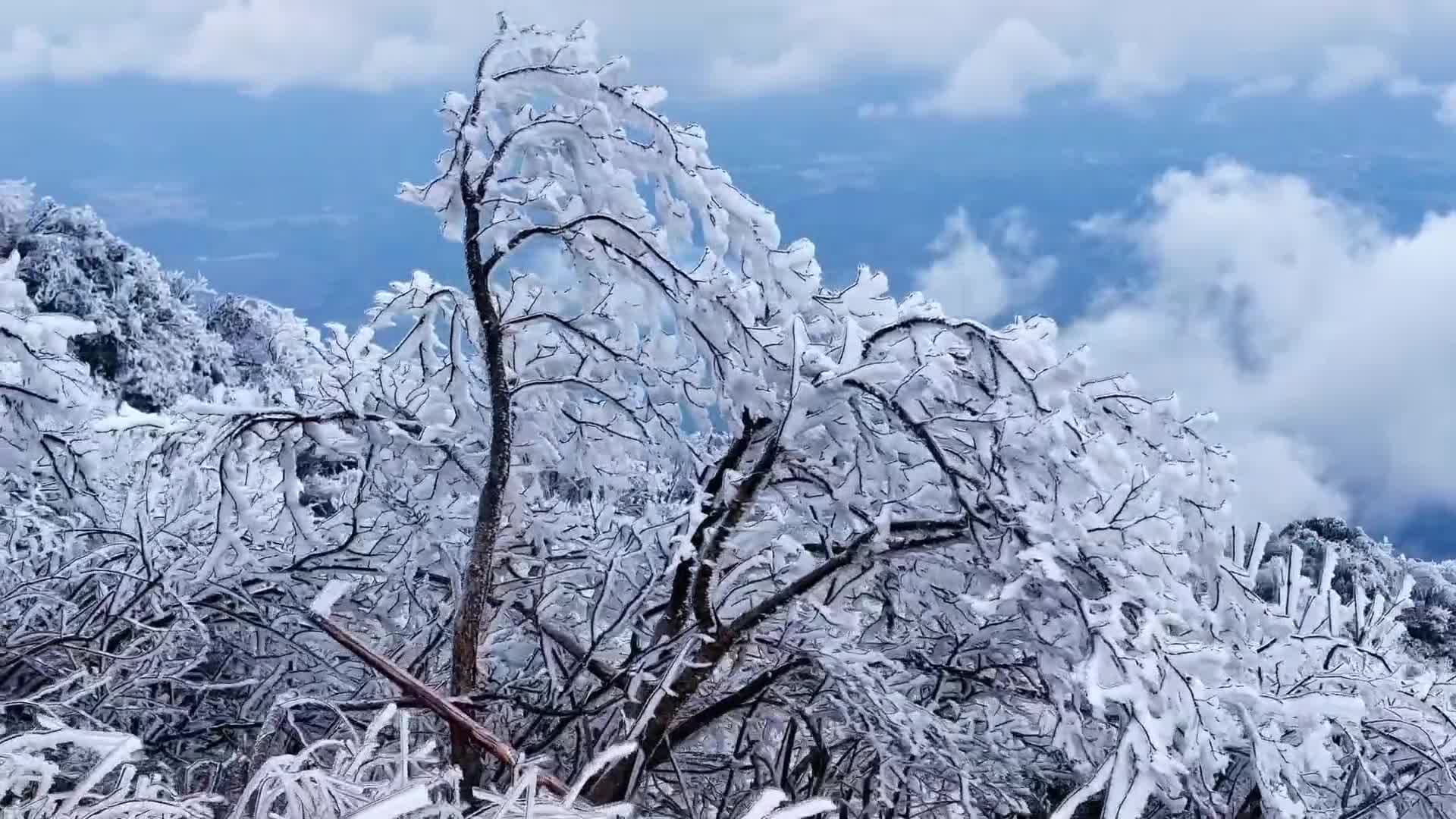 หิมะขาวน้ำค้างแข็งประดับ 'ขุนเขาซีห่วง' สวยสะกดในหูหนาน