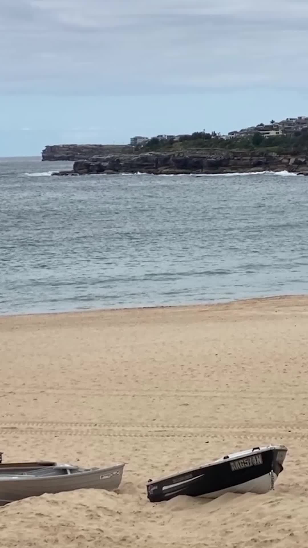 นิวเซาธ์เวลส์สั่งปิดชายหาด หลังเกิดเหตุ 'ฉลามทำร้ายคน' 4 ครั้งใน 3 วัน