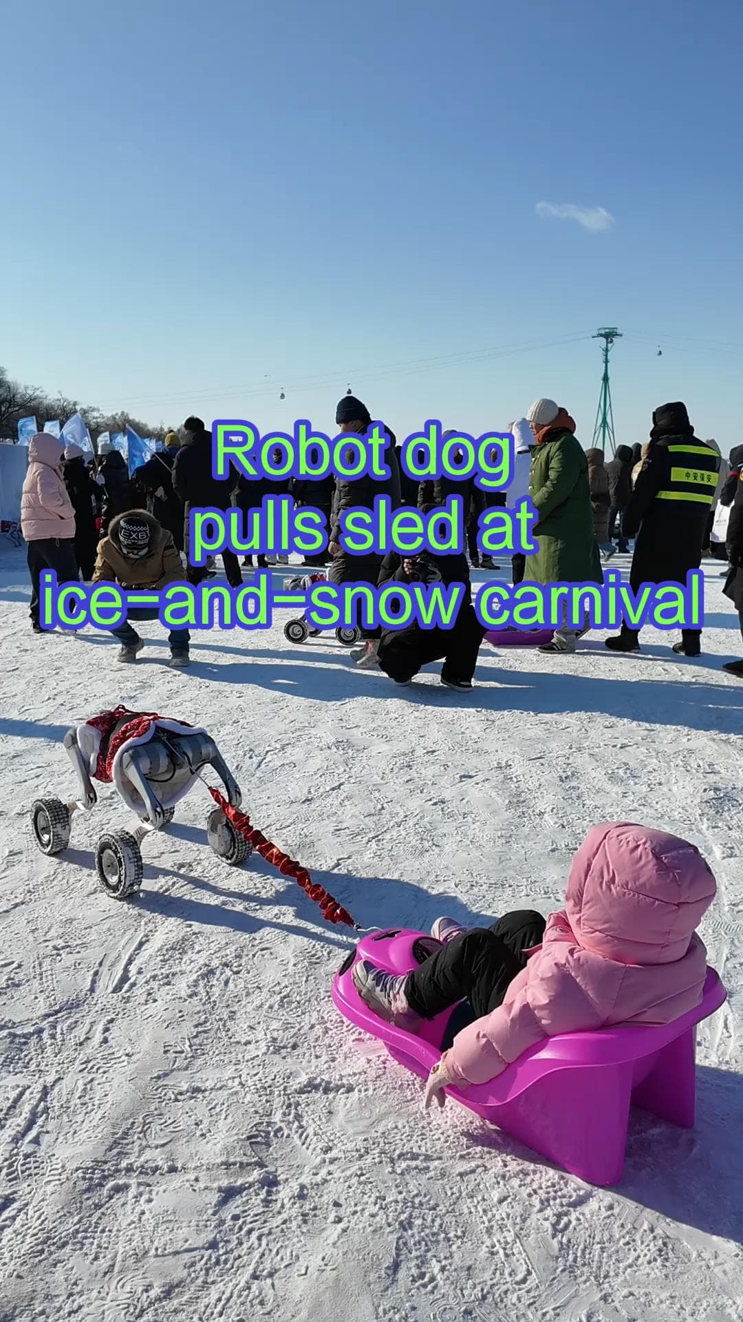 เจ้าตูบตัวจริงไม่ต้องเหนื่อย 'หุ่นยนต์สุนัข' โชว์ลากเลื่อนหิมะในฮาร์บิน
