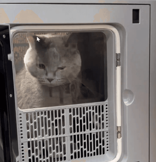 ปลอดภัยและอุ่นใจ ‘ลูกรักสี่ขา’ นั่งรถไฟกลับบ้านกับ ‘พ่อแม่’ ช่วงตรุษจีน