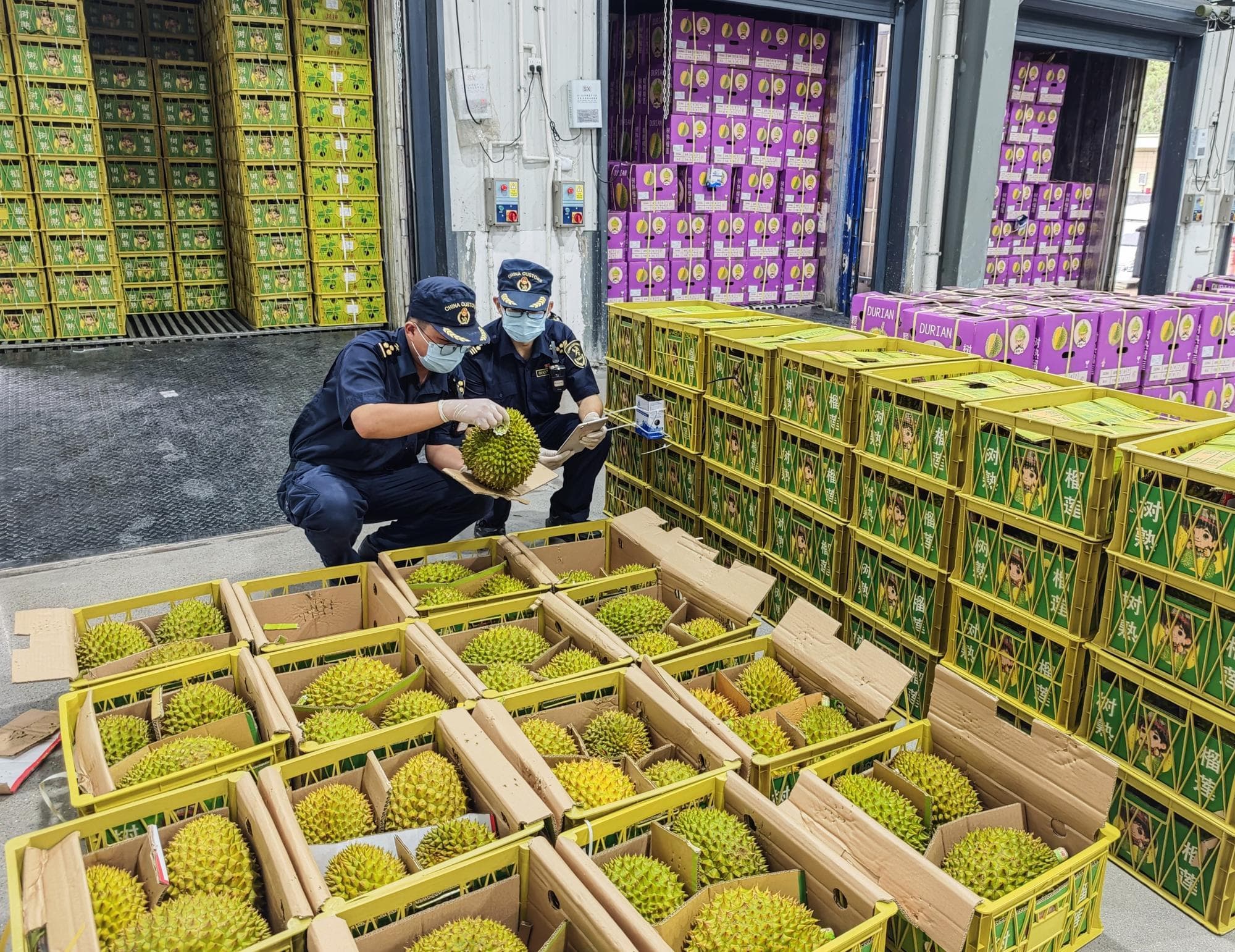 ผลไม้อาเซียน ‘ทุเรียน-ลำไย’ เติมรสหวาน ‘ตรุษจีน’ ให้ชาวจีน