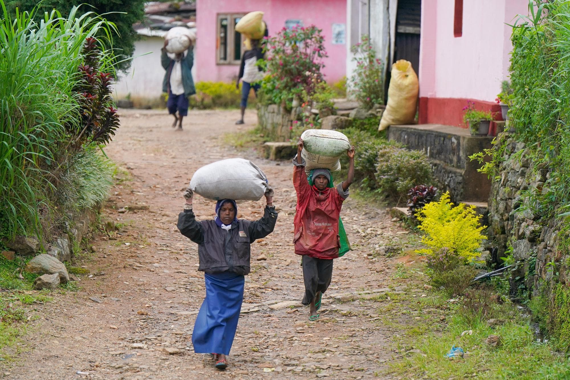 ศรีลังกาอนุญาต 'แรงงานผู้หญิง' ทำงานกะกลางคืนในงานสุขาภิบาล-บริการอาหาร