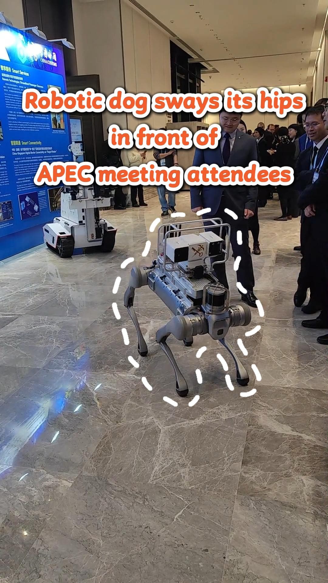 หุ่นยนต์สุนัขส่ายก้นดุ๊กดิ๊ก โชว์แขกประชุมเอเปคในกว่างโจว