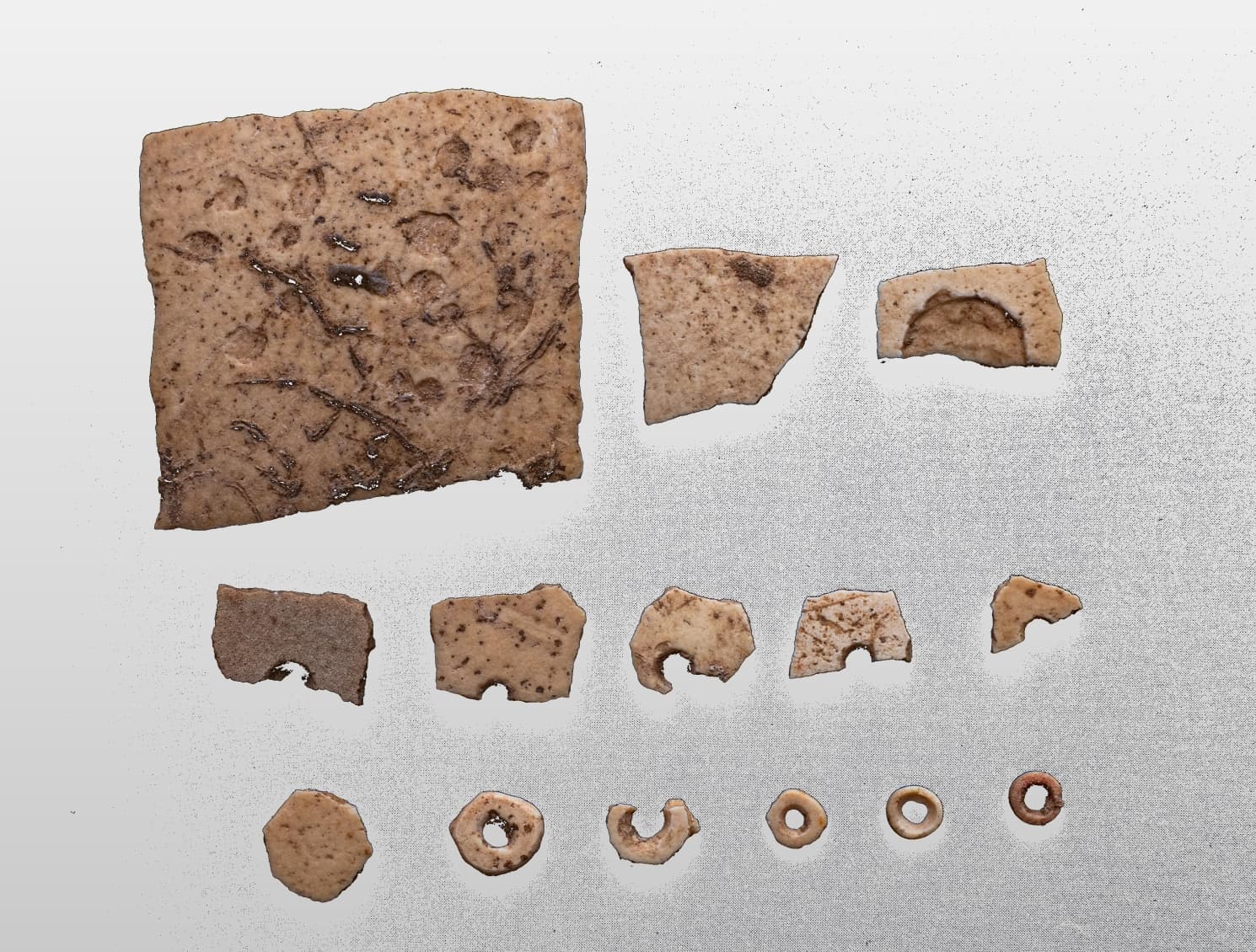 จีนพบซากแหล่งผลิตเครื่องใช้จาก 'เปลือกไข่นกกระจอกเทศ' เก่า 2.6 หมื่นปีในเหอหนาน