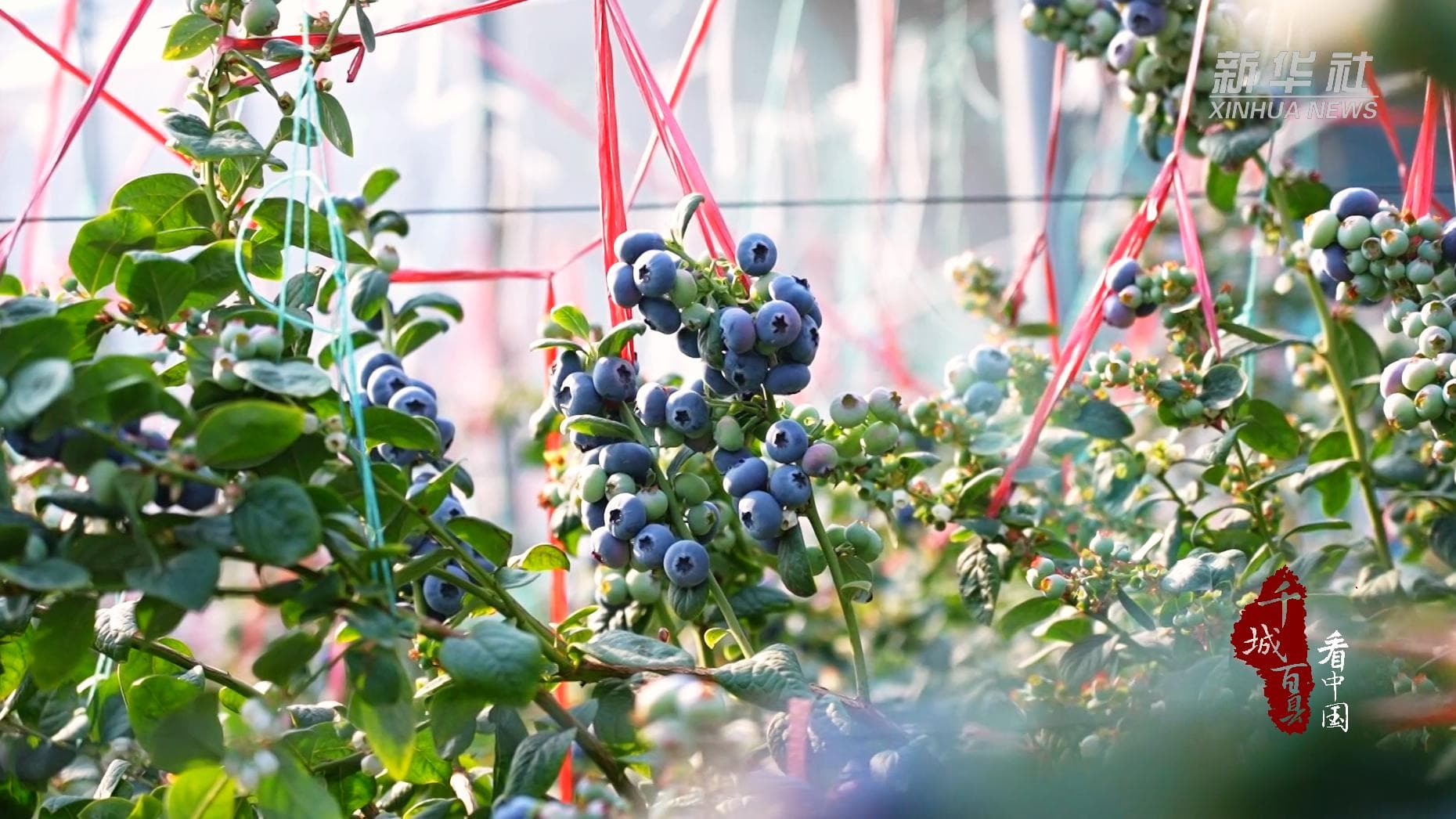 ซิ่งสโนว์โมบิลท้าลมหนาว ชมตะวันลับฟ้าบนภูเขาฉางไป๋