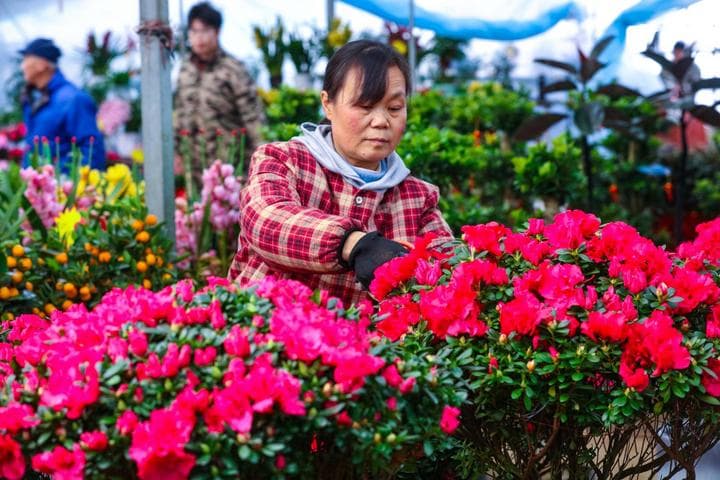 เกษตรกรจีนเพาะปลูกเต็มกำลัง รับ 'ลี่ชุน' เริ่มต้นฤดูใบไม้ผลิ