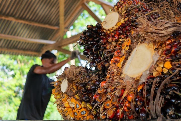 อินโดฯ เร่งหาแหล่งนำเข้าน้ำมันสำรอง รับมือความตึงเครียดในตอ.กลาง