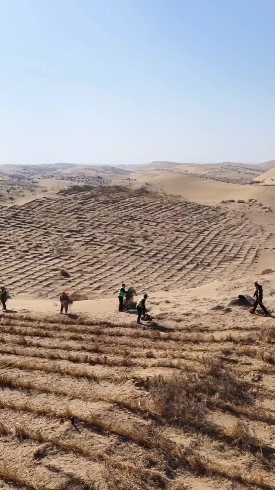 มองโกเลียในลุยงาน ‘ควบคุมทะเลทราย’ ใช้เทคโนฯ เสริมทัพปราการกั้นทราย