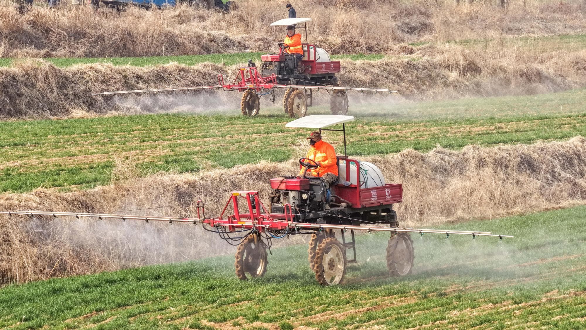 เกษตรกรลุยงานเพาะปลูกฤดูใบไม้ผลิในซานตง