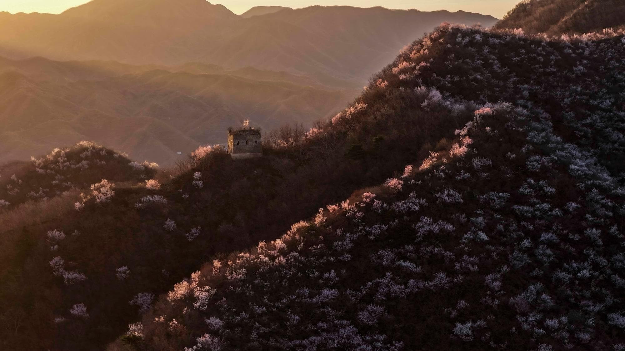 ทิวทัศน์ ‘กำแพงเมืองจีน’ ห้วงยามฤดูใบไม้ผลิในเหอเป่ย