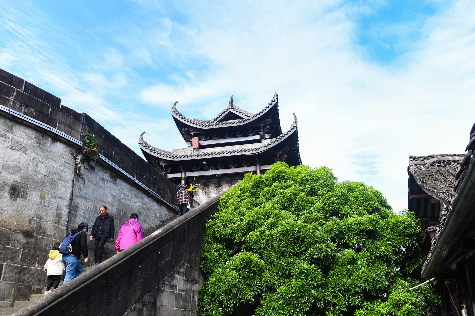 ไม้ใหญ่ใบเขียวแต้มสีสัน ‘เมืองโบราณ’ ในเสฉวน