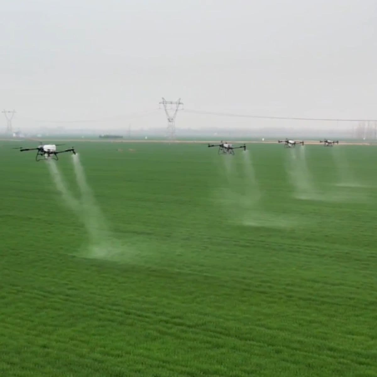 ไร้เงามนุษย์! พาส่อง ‘สมาร์ตฟาร์ม’ สุดอัจฉริยะ ในเหอหนาน