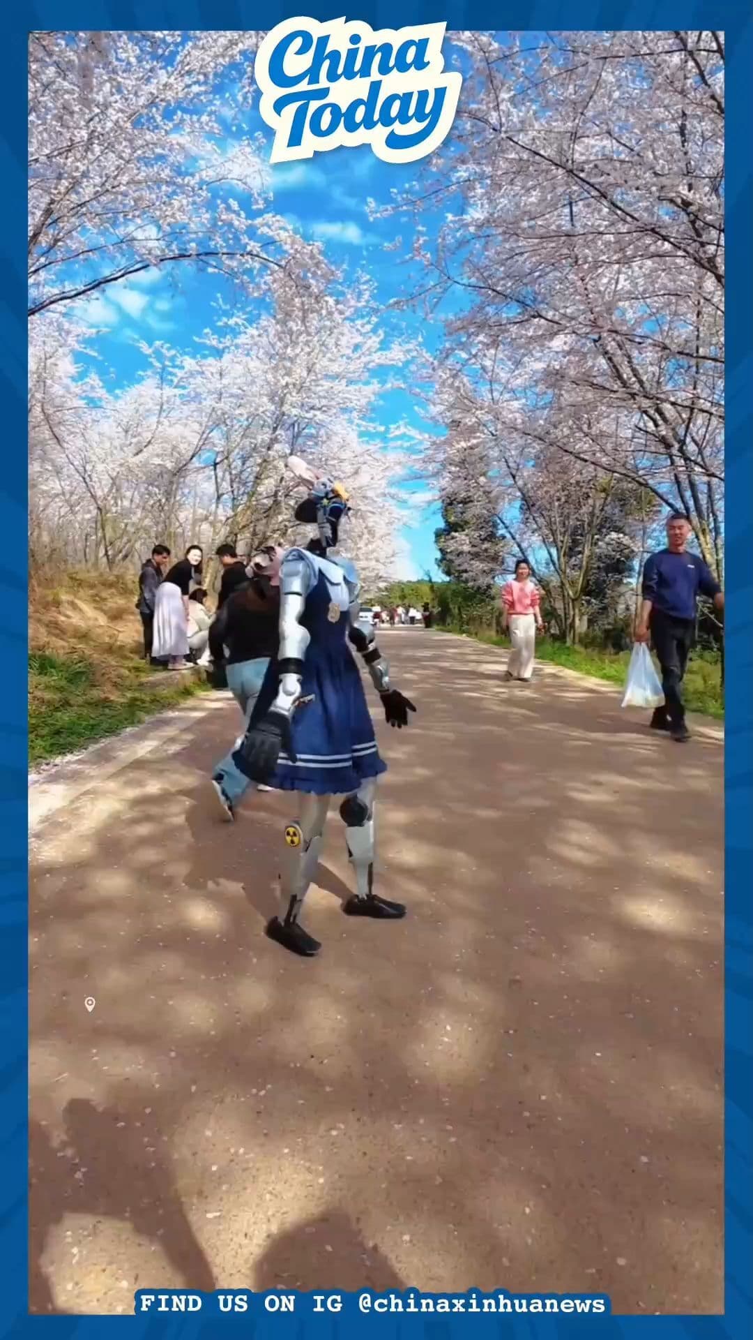 ลีลา ‘หุ่นยนต์ฮิวแมนนอยด์’ ร่ายรำกลางสวนซากุระในกุ้ยโจว