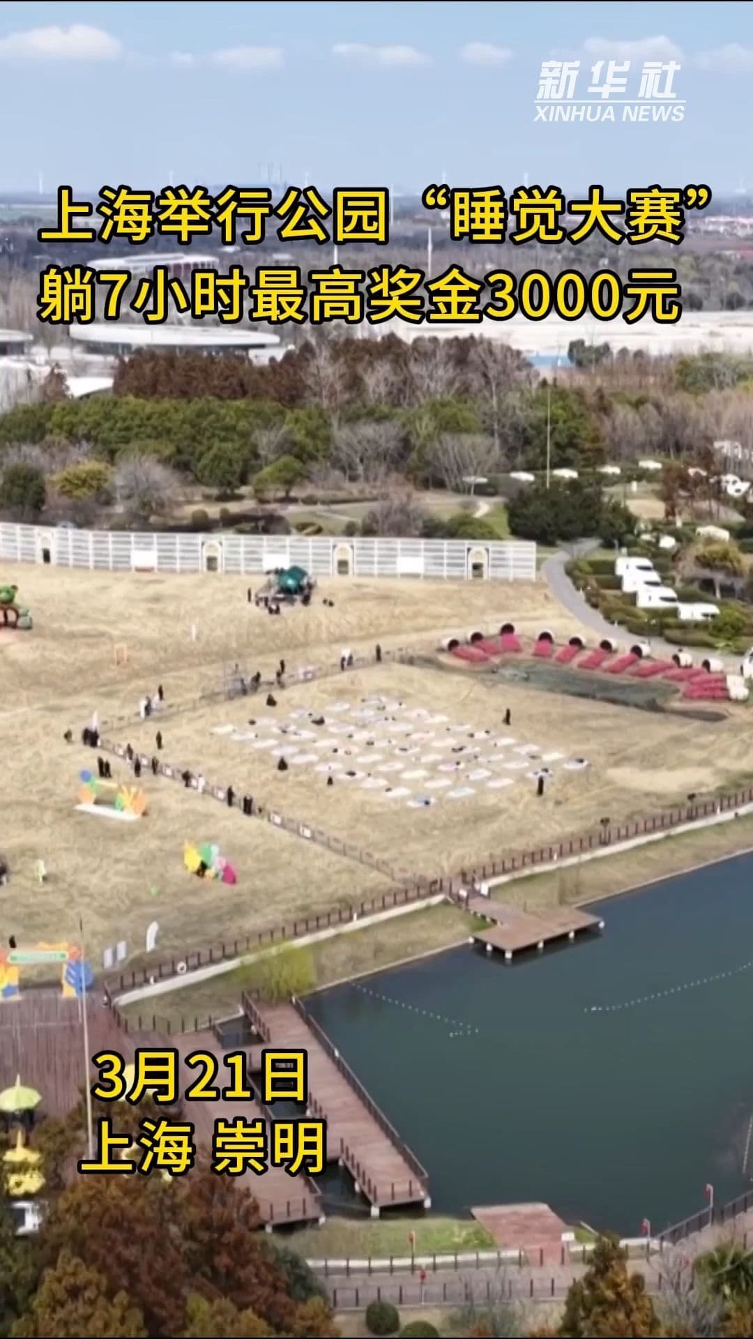 นอนให้นาน นอนให้ดี มีเงินหมื่น! เซี่ยงไฮ้จัด ‘แข่งนอนในป่า’ คนแห่สมัครจนโควต้าเต็ม