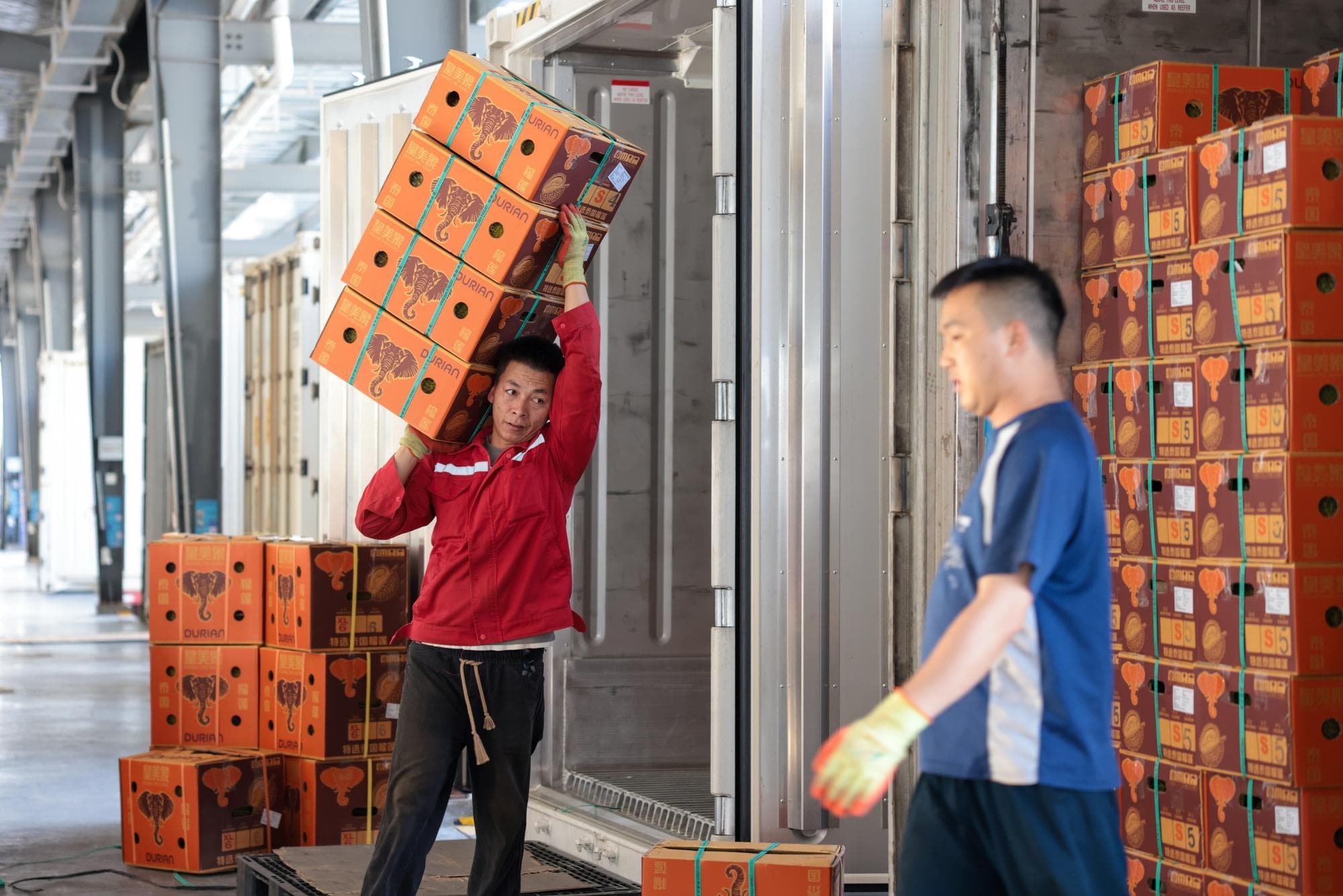 ทางรถไฟจีน-ลาวหนุนส่งออกผลไม้เมืองร้อน รับฤดู ‘ทุเรียน’ จากเอเชียตะวันออกเฉียงใต้