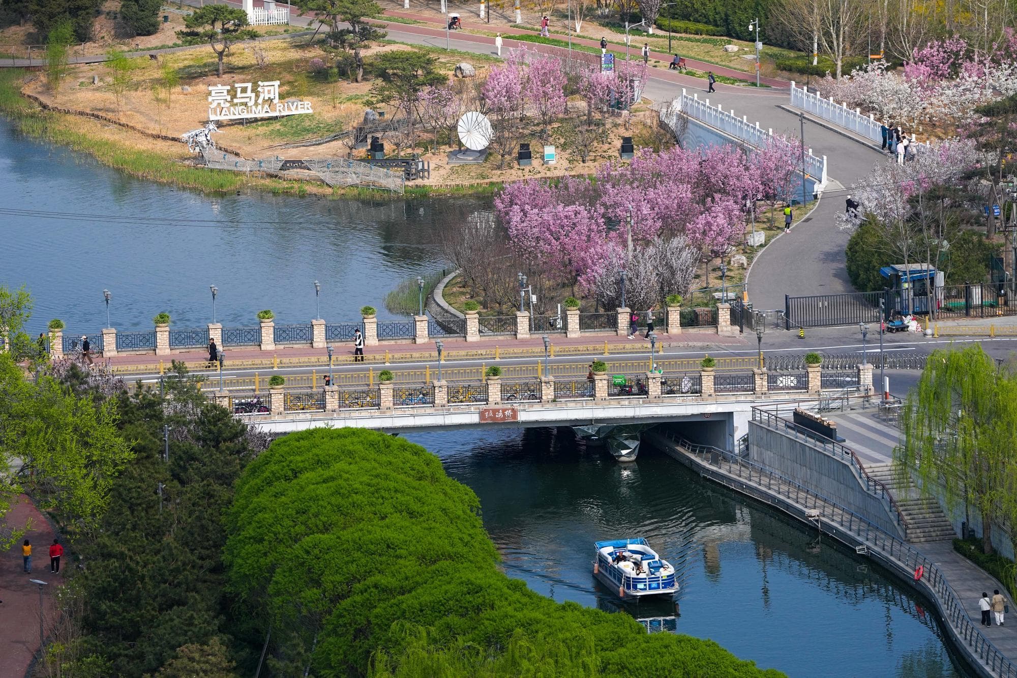 ชมดอกไม้ริมแม่น้ำในปักกิ่ง ผลลัพธ์ปั้นพื้นที่ริมน้ำสู่ ‘ห้องนั่งเล่น’ ของเมืองหลวง