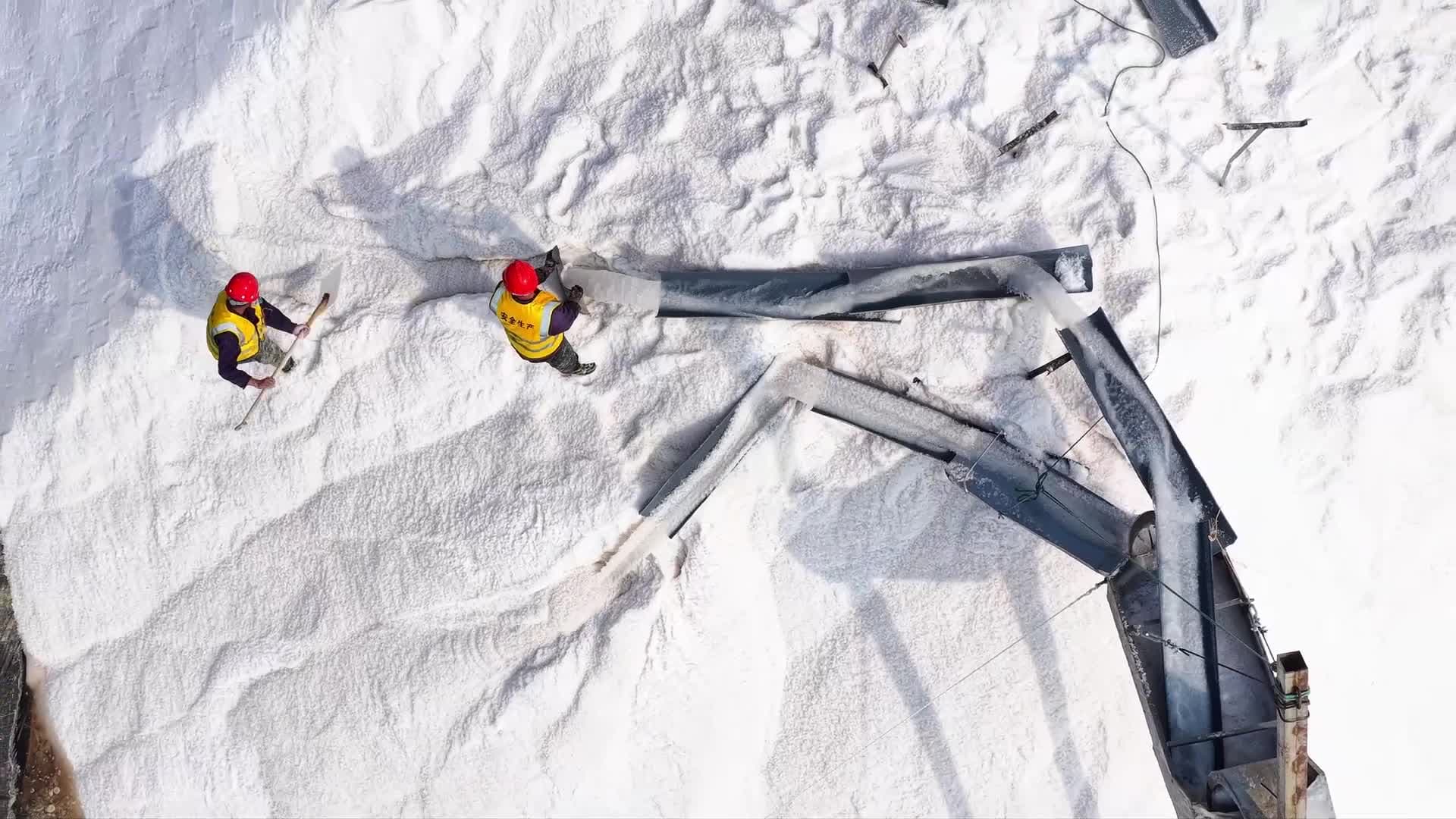 อาณาจักร ‘นาเกลือ’ ในเจียงซู ลุยเก็บเกี่ยวช่วงฤดูใบไม้ผลิ