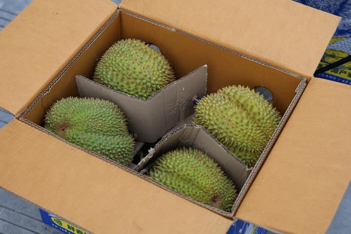 สายสัมพันธ์สองแผ่นดิน : รถไฟสินค้าห้องเย็นจีน-ลาว-ไทย ล็อกความสด ‘ทุเรียนไทย’ ส่งตรงถึงเฉิงตู