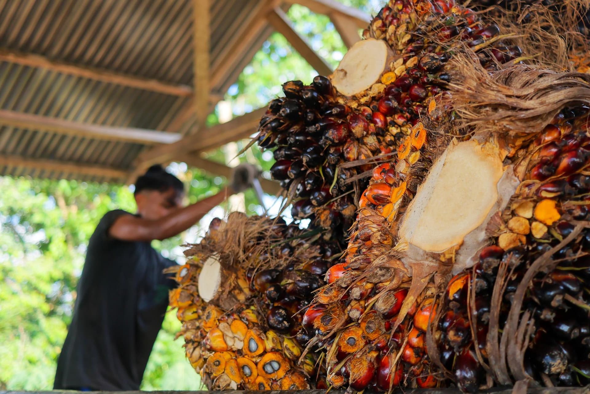 อินโดนีเซียเตรียมระงับนำเข้า ‘น้ำมันดีเซล’ เริ่ม 1 ก.ค.