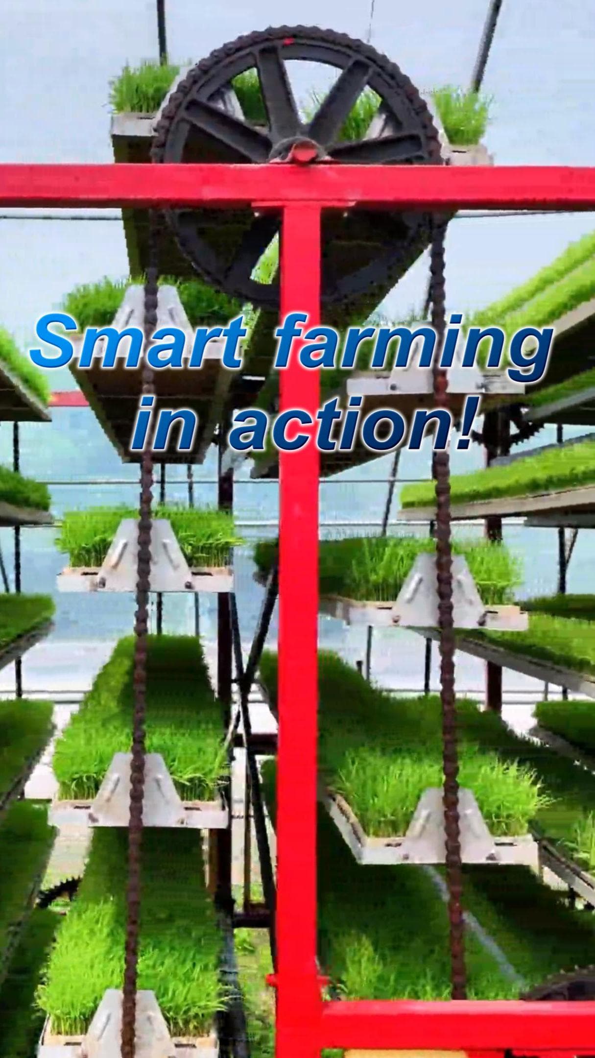 ต้นกล้า ‘ขึ้นลิฟต์’ รับแสงแดด นวัตกรรมเกษตรอัจฉริยะในเจียงซี