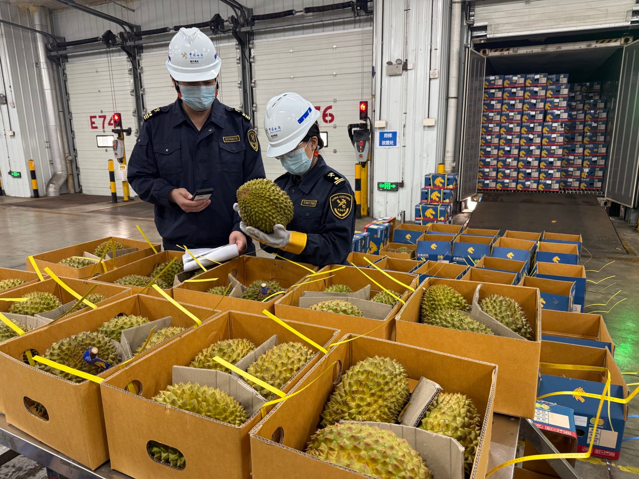 สายสัมพันธ์สองแผ่นดิน : ทุเรียนไทยส่งด่วนถึงท่าเรือหนานซา ปักหมุดเริ่มต้นฤดูขนส่งราชาผลไม้